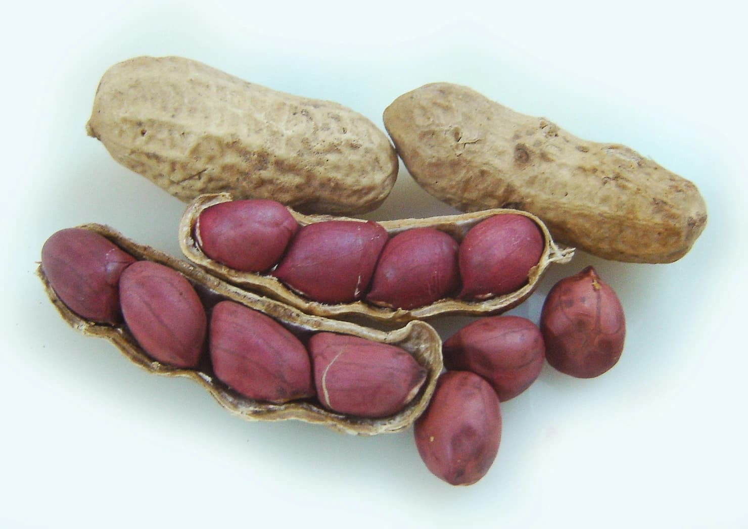 Red Skin Peanuts